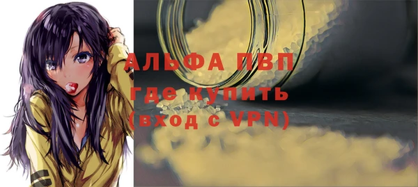 тгк Болотное