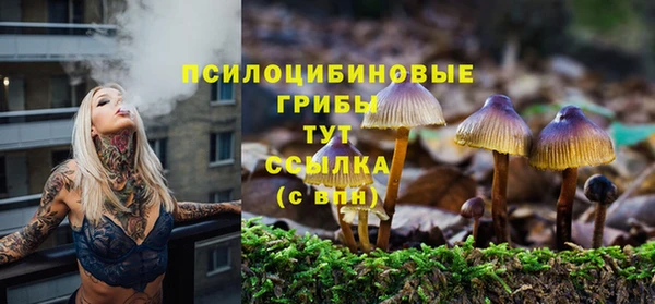 прущая мука Новодвинск