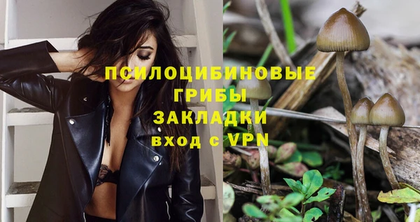 прущая мука Новодвинск