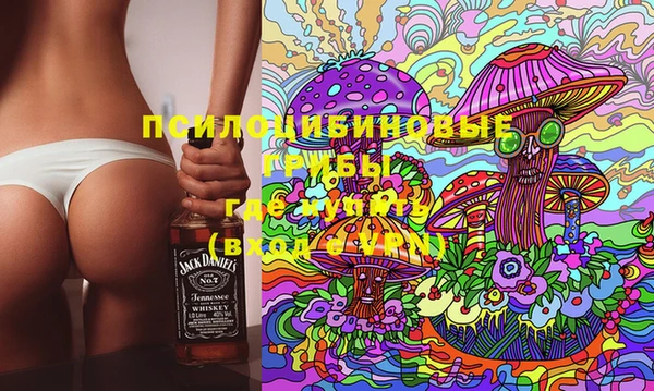 прущая мука Новодвинск