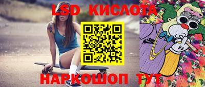 индика Аргун