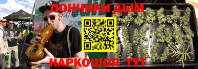 индика Аргун