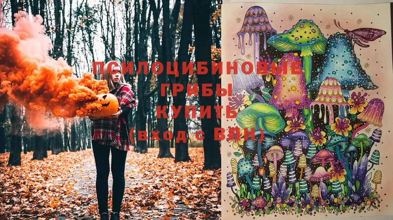 Галлюциногенные грибы Magic Shrooms  Белогорск 