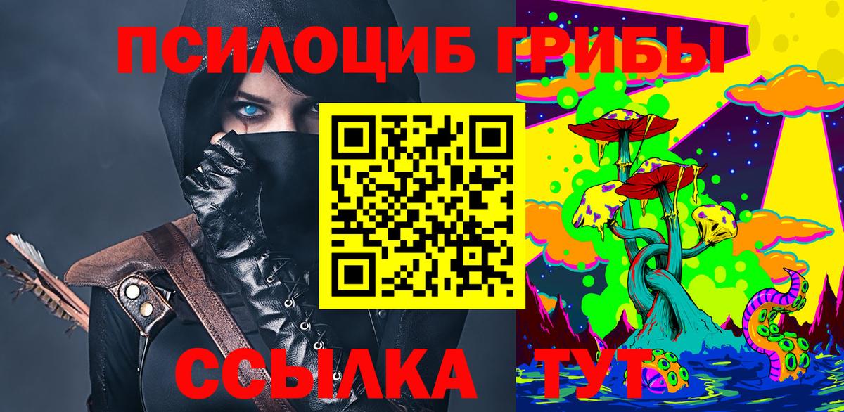 Галлюциногенные грибы Psilocybe  Белогорск 