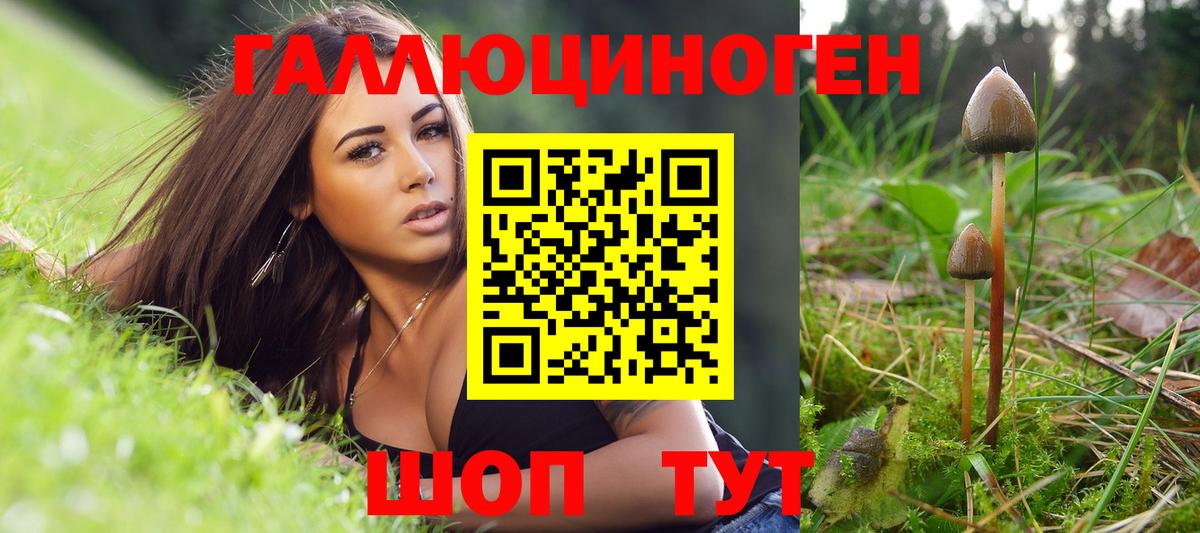 Белогорск  Галлюциногенные грибы Psilocybine cubensis  Вход с VPN 
