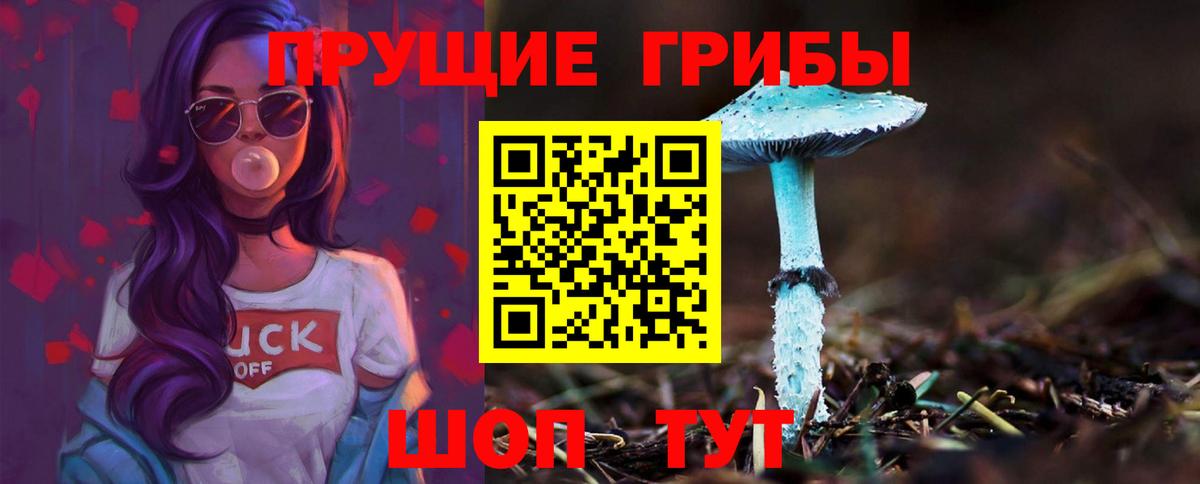 Галлюциногенные грибы мицелий Белогорск