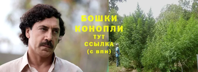 MEGA вход  Белогорск  Конопля OG Kush 